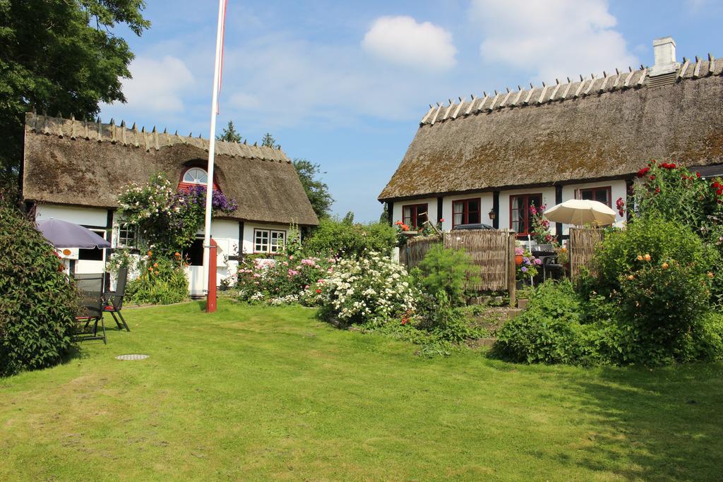 Travel Back In Time Guest House Nyord Exterior foto