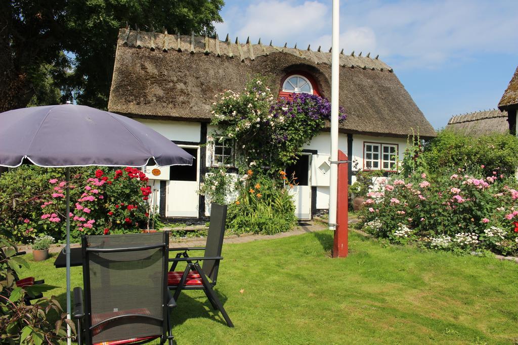 Travel Back In Time Guest House Nyord Exterior foto