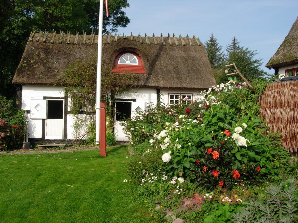 Travel Back In Time Guest House Nyord Exterior foto