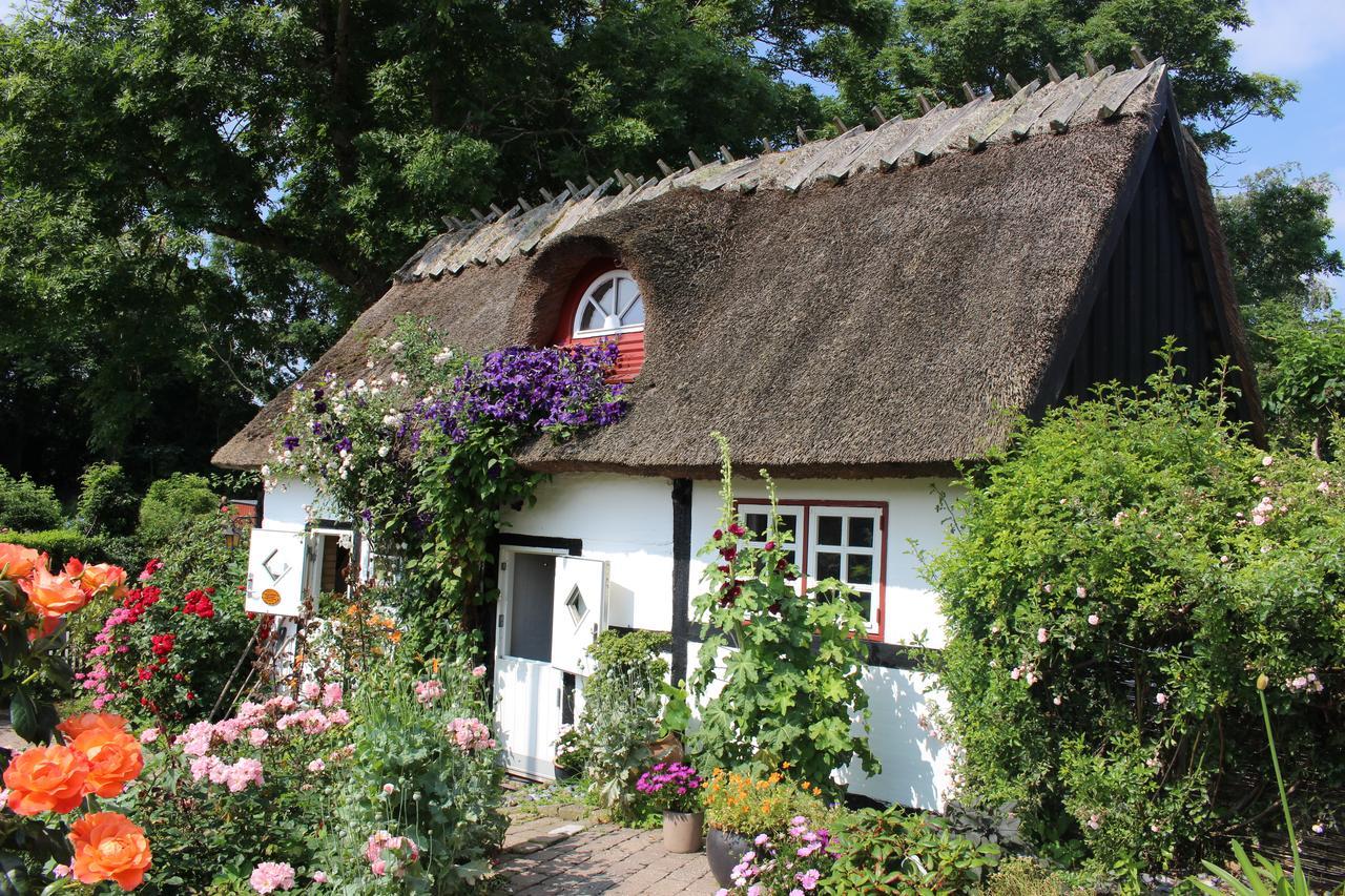 Travel Back In Time Guest House Nyord Exterior foto